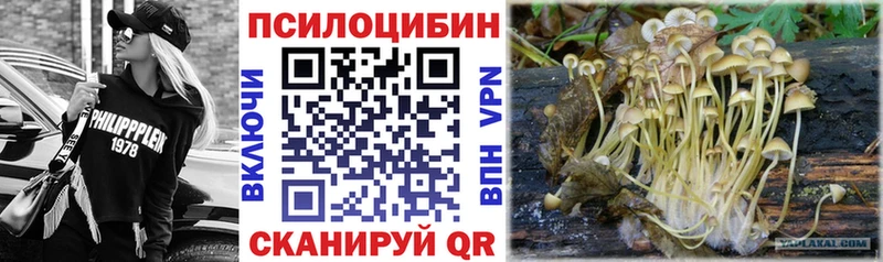 Купить  Курган  Галлюциногенные грибы мицелий 